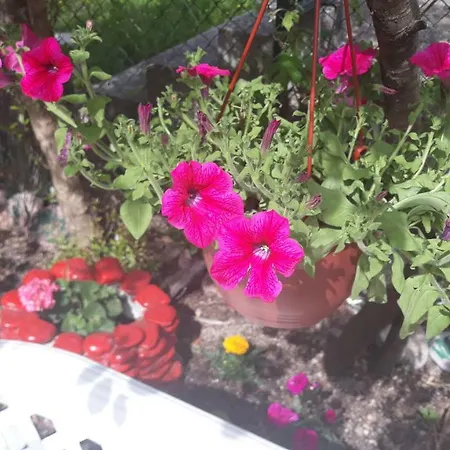 And Sky בית הארחה פודגוריצה